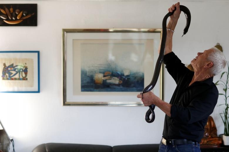 nguoi dan ong song cung cac loai bo sat anh 2