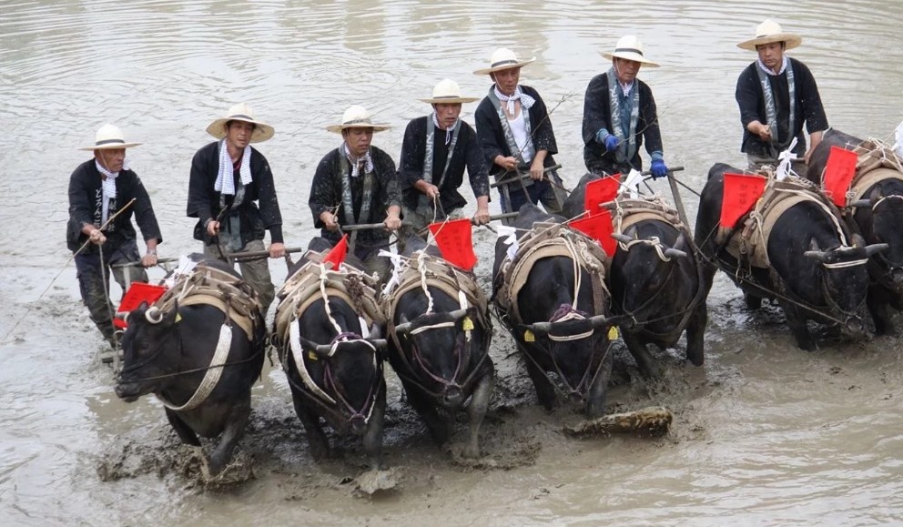 Lang que Nhat Ban chat vat duy tri le hoi co hinh anh