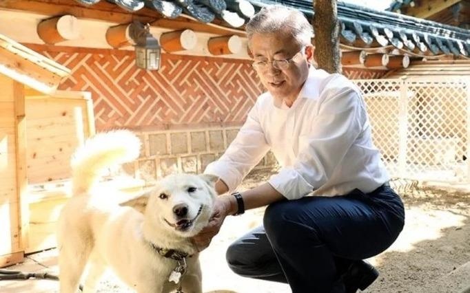 Quoc khuyen, ao long quy va mon qua hoa binh cua Trieu Tien hinh anh