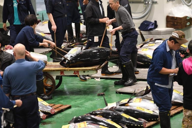 cho ca Tsukiji anh 3