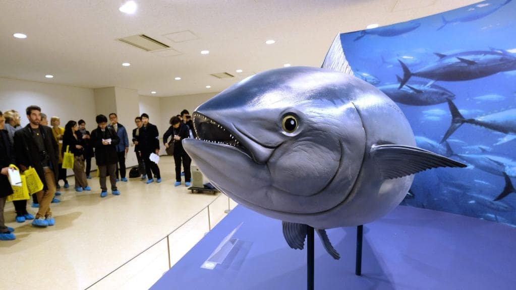 cho ca Tsukiji anh 7