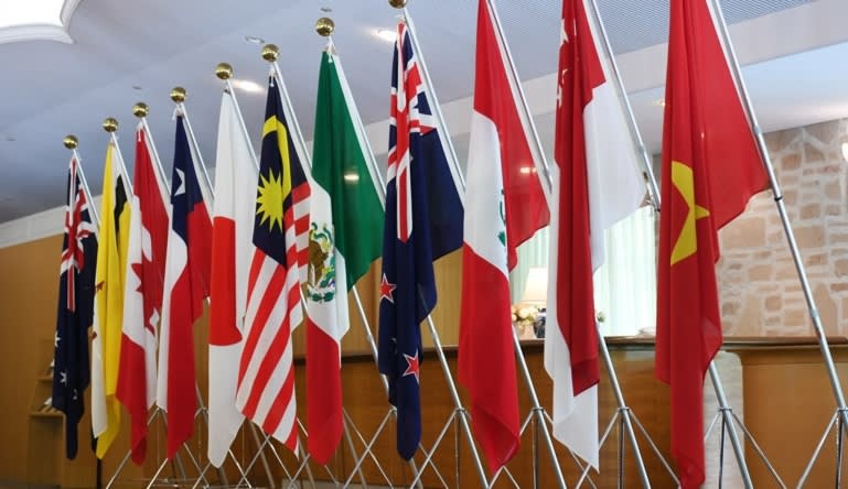 TPP-11 co hieu luc anh 2