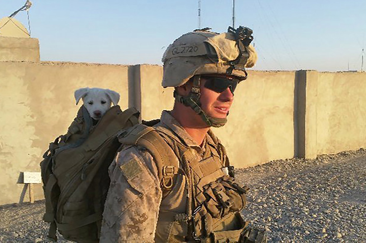 vụ xả súng ở California ảnh 1 vu xa sung o California anh 1