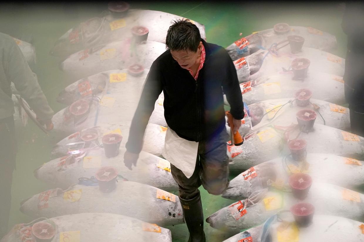 Cho ca lon nhat the gioi o Nhat boc mui sau 1 thang mo cua hinh anh