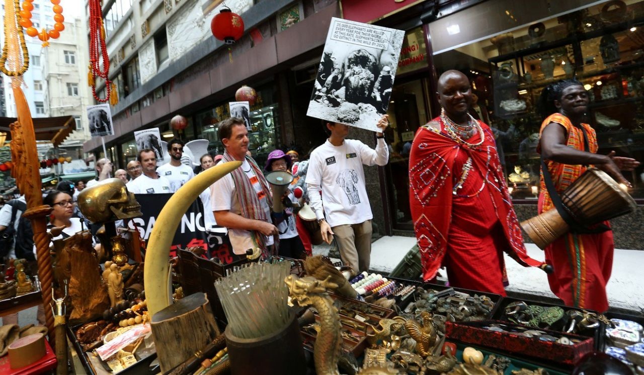 buon lau sung te giac va nga voi anh 3