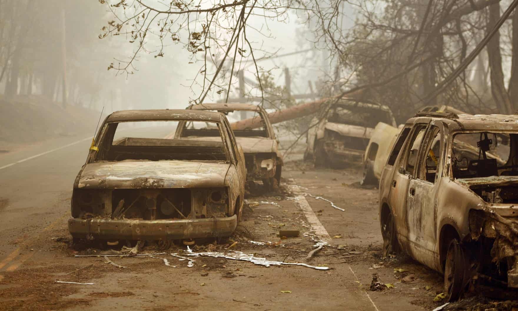 chay rung California anh 7