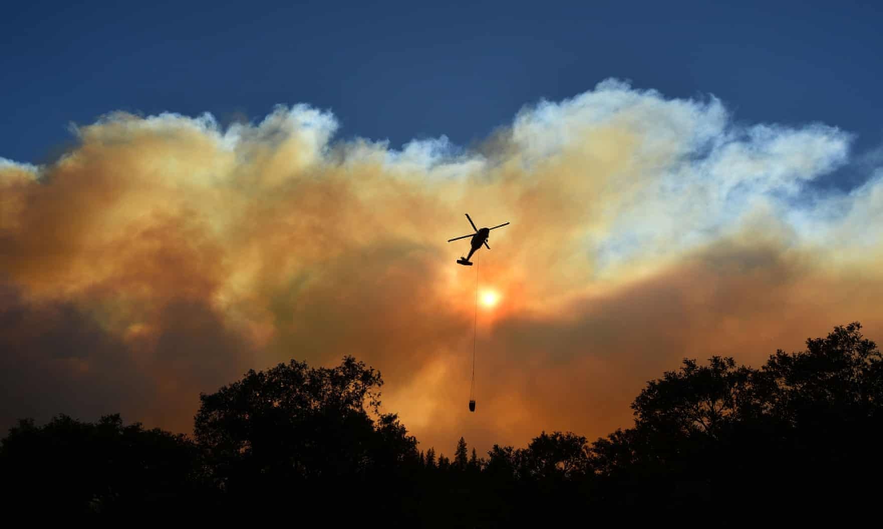 chay rung California anh 1