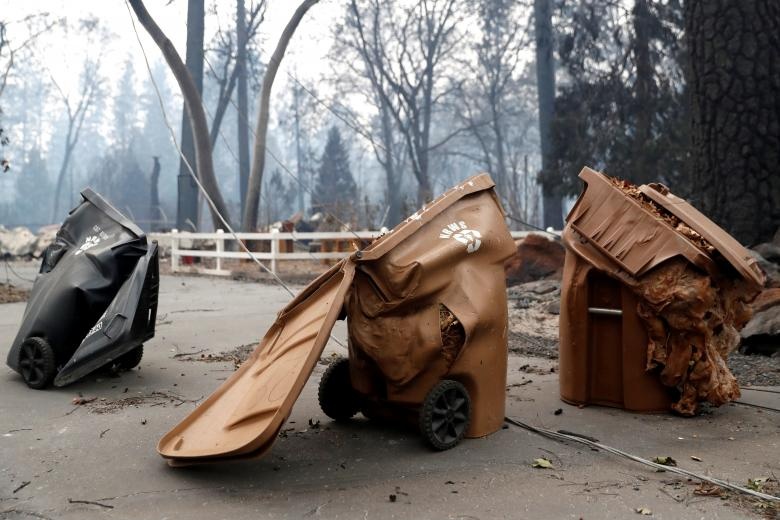 chay rung California anh 9