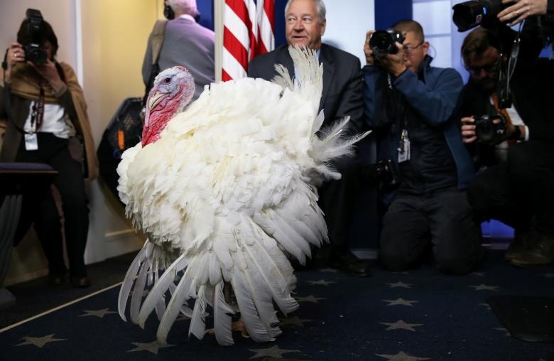 Tong thong Trump an xa ga tay anh 9