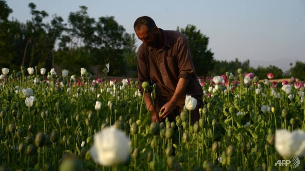 Người mẹ Afghanistan bán con vì cùng đường ảnh 1 Nguoi me Afghanistan ban con vi cung duong anh 1
