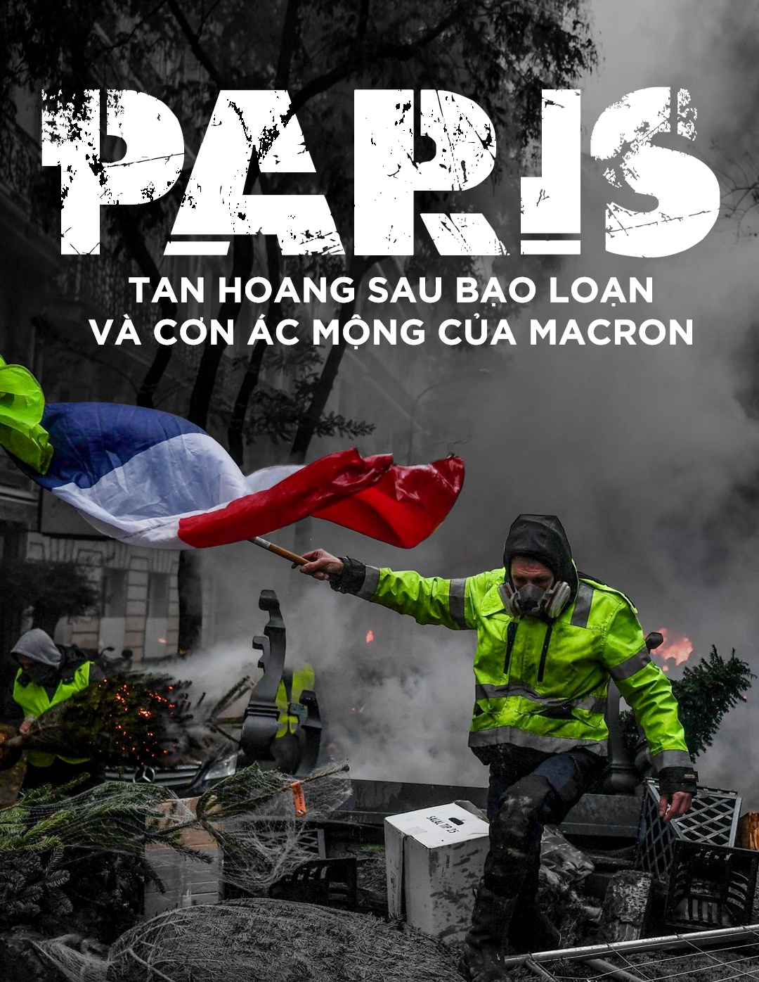 bieu tinh Phap va con ac mong cua Macron anh 1