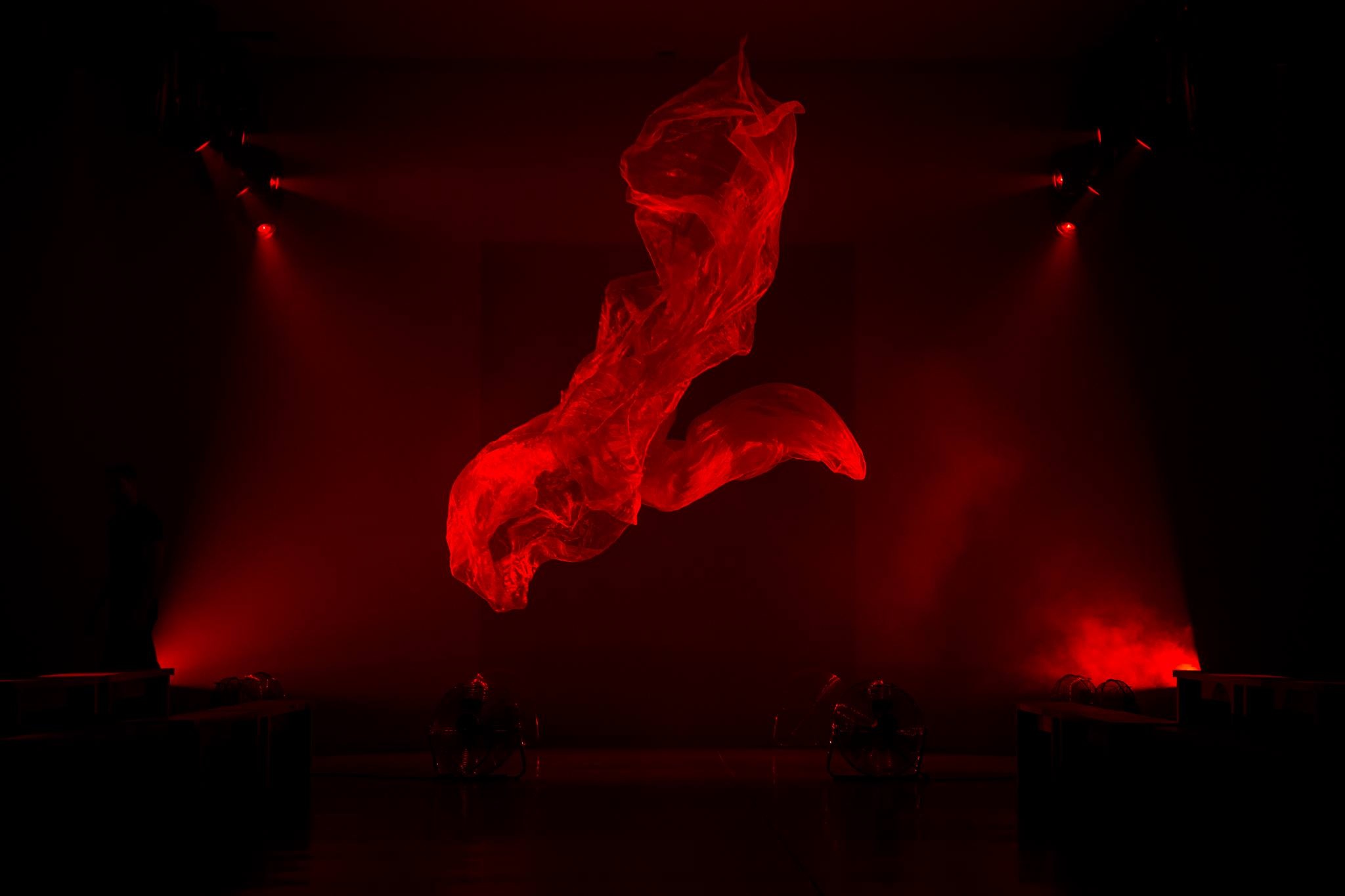 bo suu tap Thu - Dong anh 5