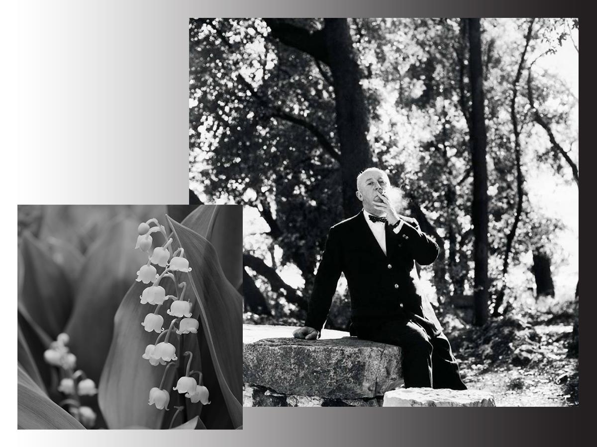 thương hiệu Christian Dior ảnh 4 thuong hieu Christian Dior anh 4