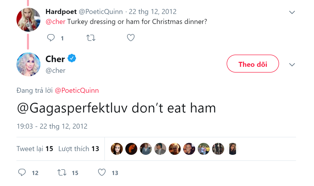 ca sĩ Cher ảnh 2 ca si Cher anh 2