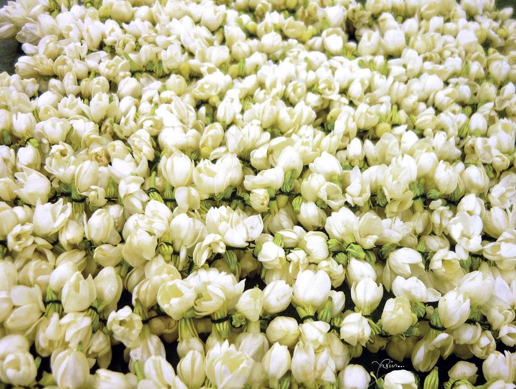 nguyên liệu làm nước hoa ảnh 1 nguyen lieu lam nuoc hoa anh 1