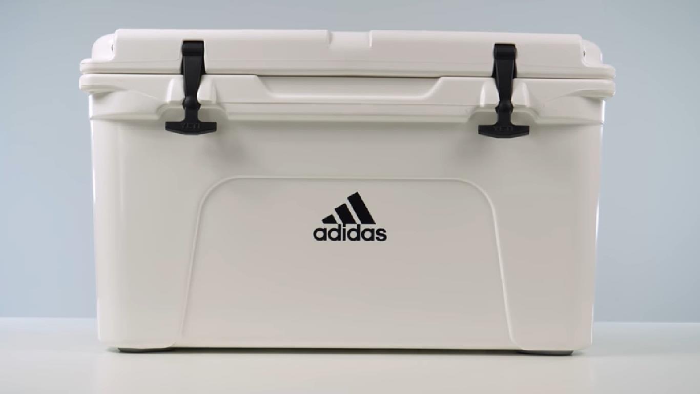 hop dung sneakers anh 16