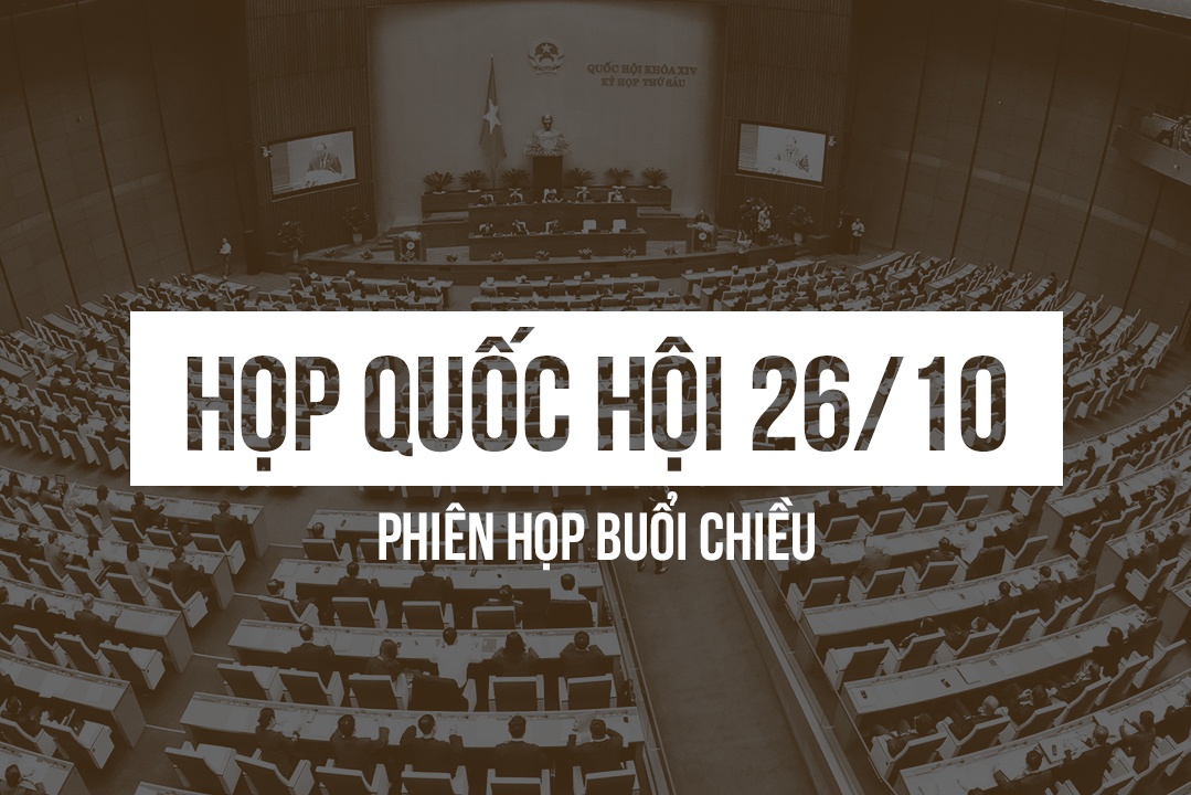 Truc tiep Quoc hoi thao luan ve kinh te xa hoi buoi chieu 26/10 hinh anh