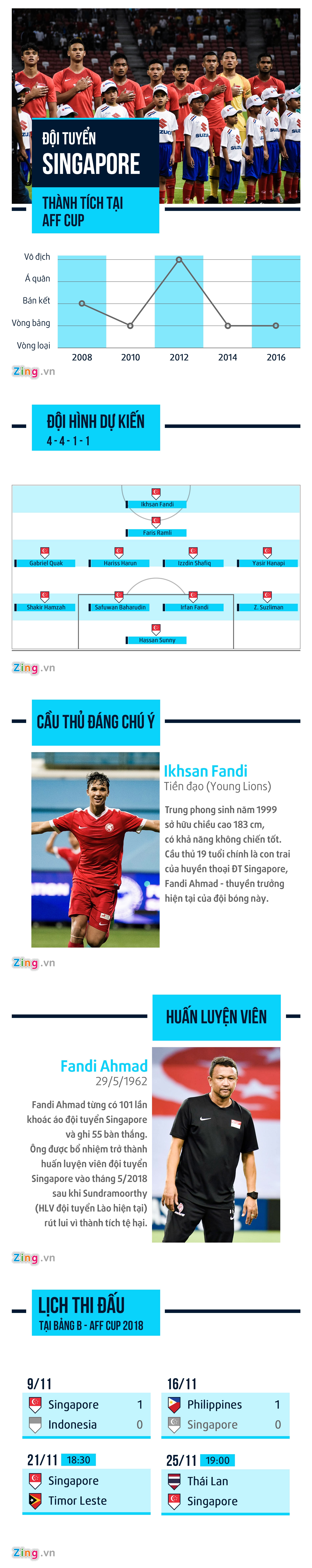 Doi tuyen Singapore AFF Cup anh 1