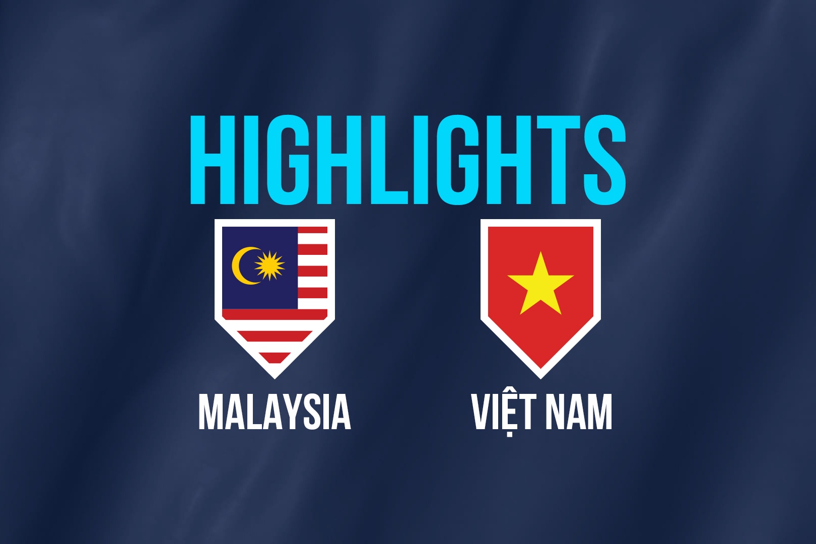 Highlights chung ket AFF Cup: Malaysia 2-2 Viet Nam hinh anh