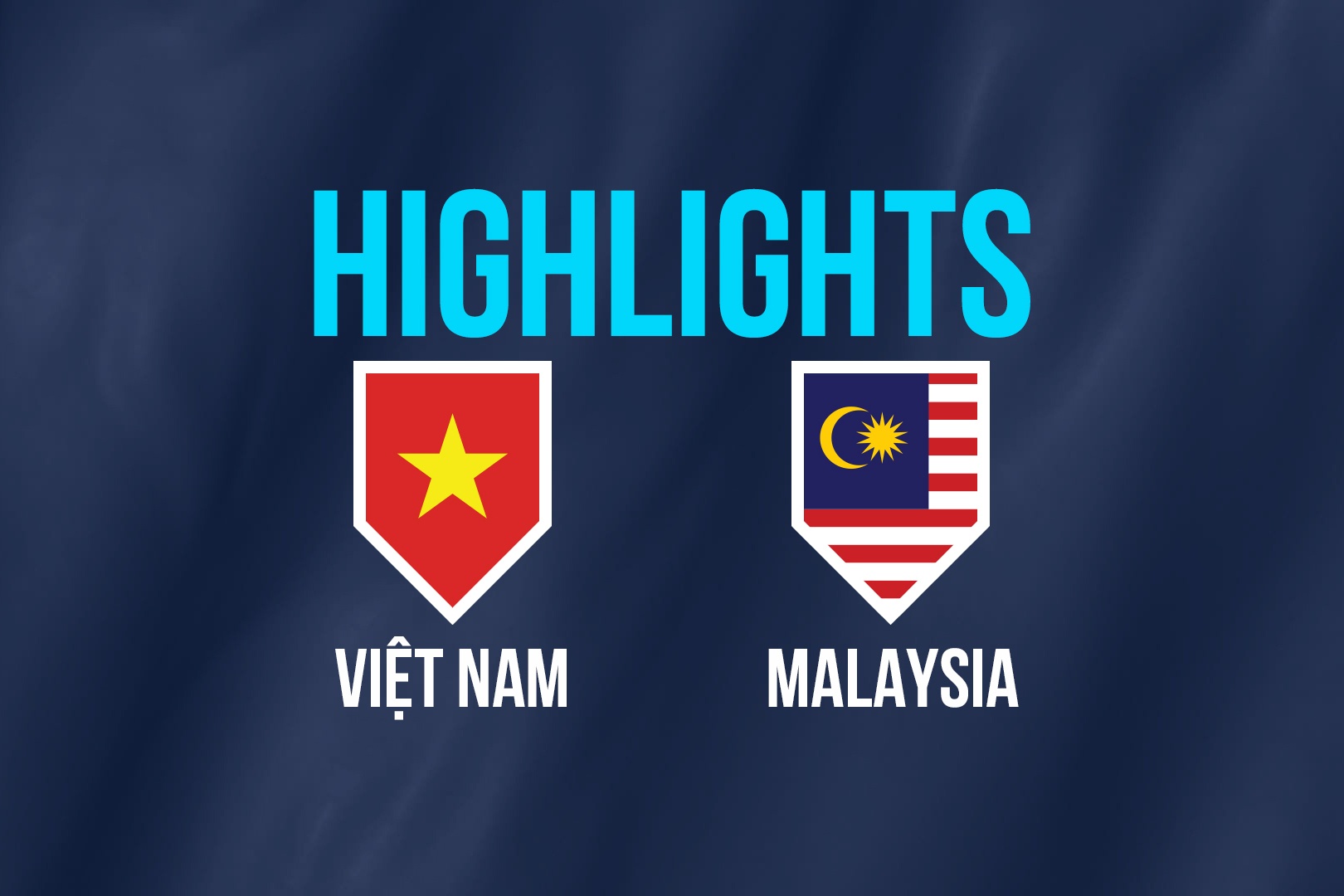 Highlights chung ket AFF Cup: Viet Nam 1-0 Malaysia hinh anh