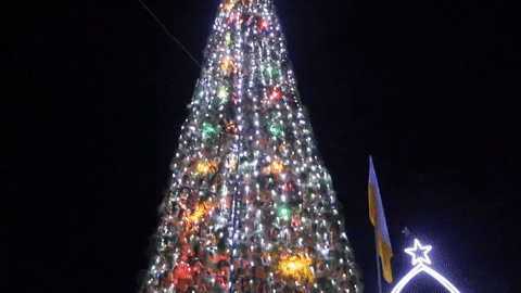 Cay thong ket tu non la, noi dat doc dao mua Giang sinh 2018 hinh anh