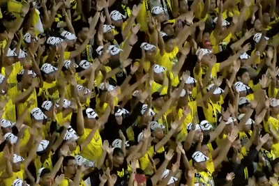 Hon 83.000 CDV lap ky luc vo tay kieu 'Viking' o Malaysia hinh anh