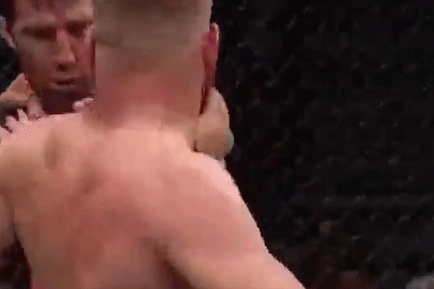 Vo si UFC dam meo mat doi thu hinh anh