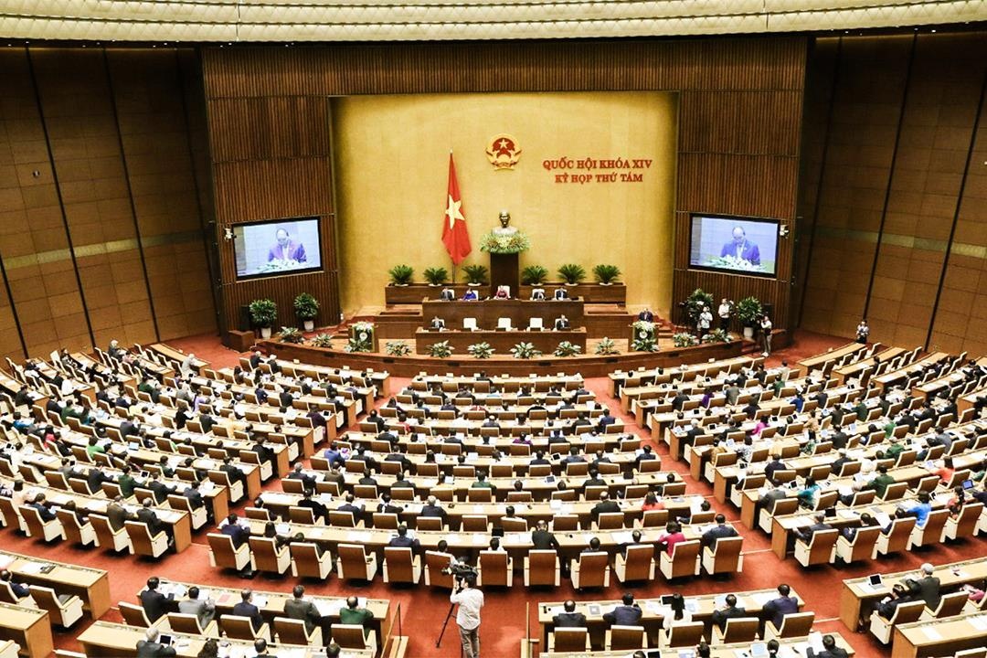 Bo truong Nong nghiep tra loi chat van Quoc hoi hinh anh