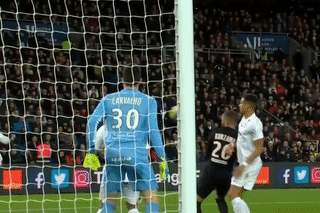 Hau ve phan luoi nha vi bi pha bong trung mat hinh anh