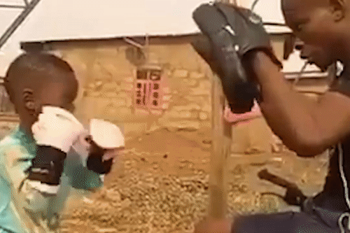 Cau be 4 tuoi gay chu y nho to chat boxing hinh anh