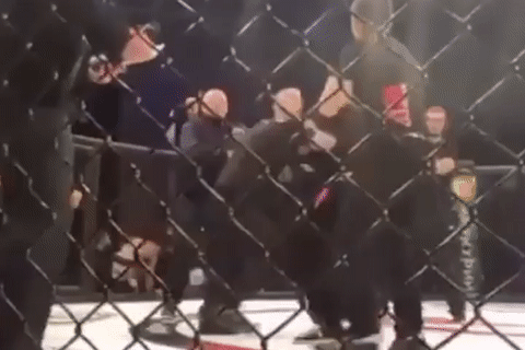 Trong tai MMA bi danh hoi dong o Nga hinh anh