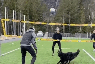 Cho choi bong chuyen gay chu y tren MXH hinh anh