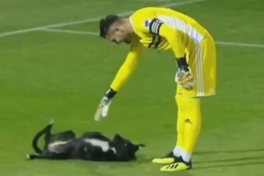 Cho chay vao san bong doi cau thu nung hinh anh