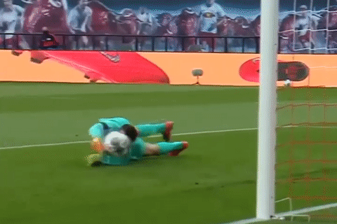 Thu mon vung ve day bong vao luoi doi nha hinh anh