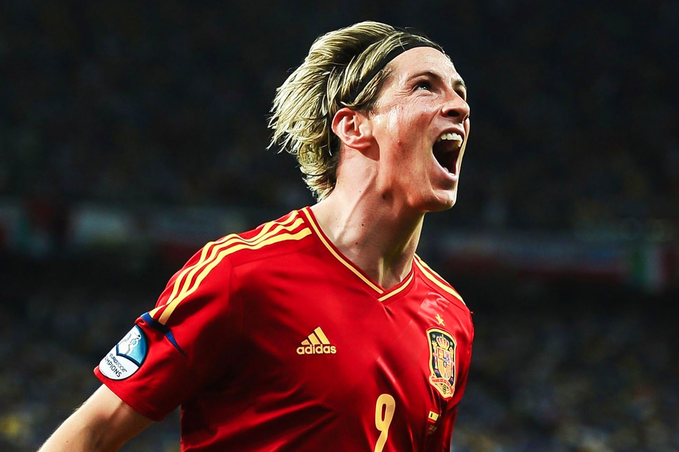 Torres va thanh tich chua tung co khi Tay Ban Nha ha Italy 4-0 hinh anh