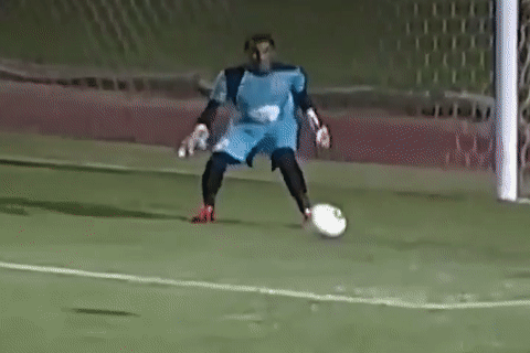 Thu mon tra gia vi pha bieu dien hinh anh