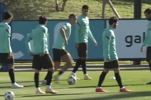 Ronaldo re bong kieu Elastico khi tro lai tuyen Bo Dao Nha hinh anh