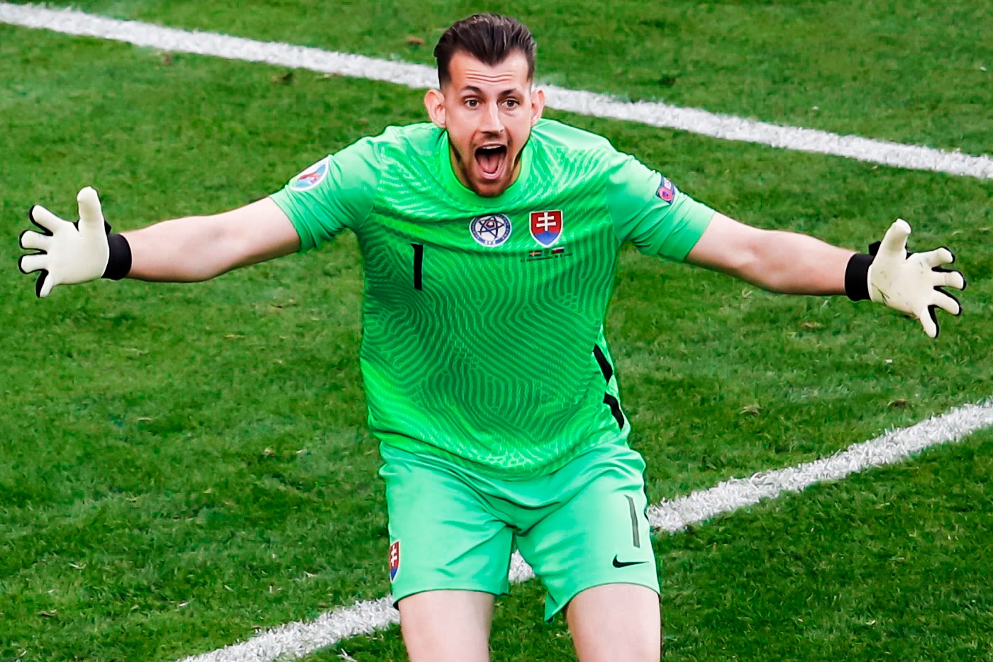 Video Thuy Dien - Slovakia: Thu mon mac sai lam hinh anh