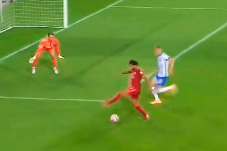 Salah giat got kien tao cho Minamino hinh anh