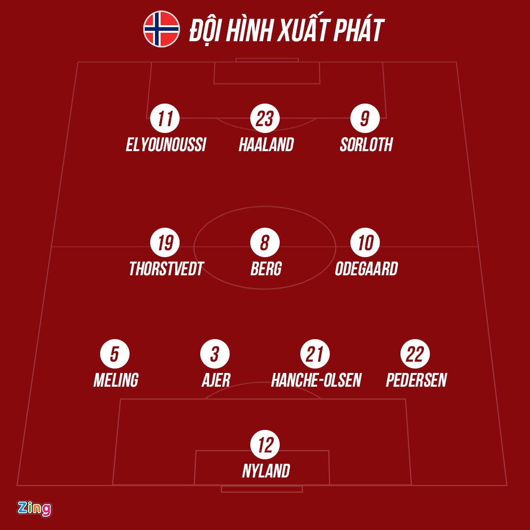 Erling Haaland anh 1