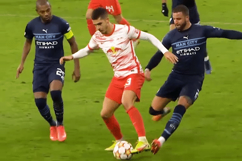 Walker bi duoi sau cu da tho bao hinh anh