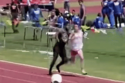 Nguoi chay dan dau bi dam guc o My hinh anh