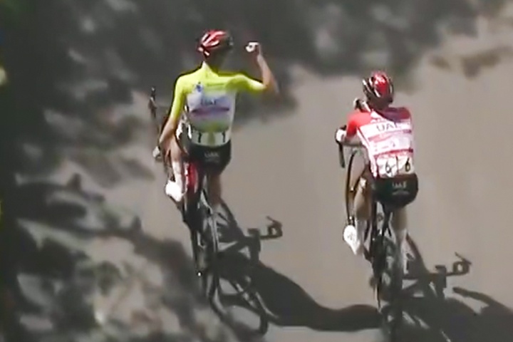 Cua-ro oan tu ti truoc khi ve dich hinh anh