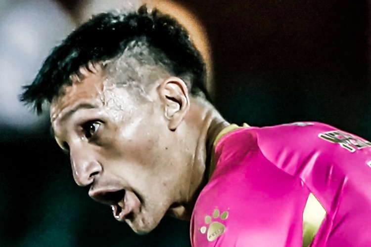 Highlights Sai Gon 2-2 Nam Dinh: Do Merlo ghi ban o tuoi 37 hinh anh