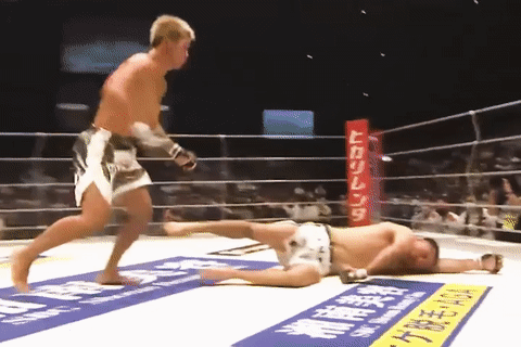 Vo si Nhat Ban da vao mat doi thu dang nam san hinh anh