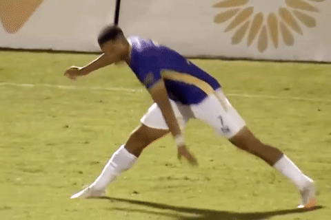 Pha an mung cua tan binh CLB Ha Noi hinh anh