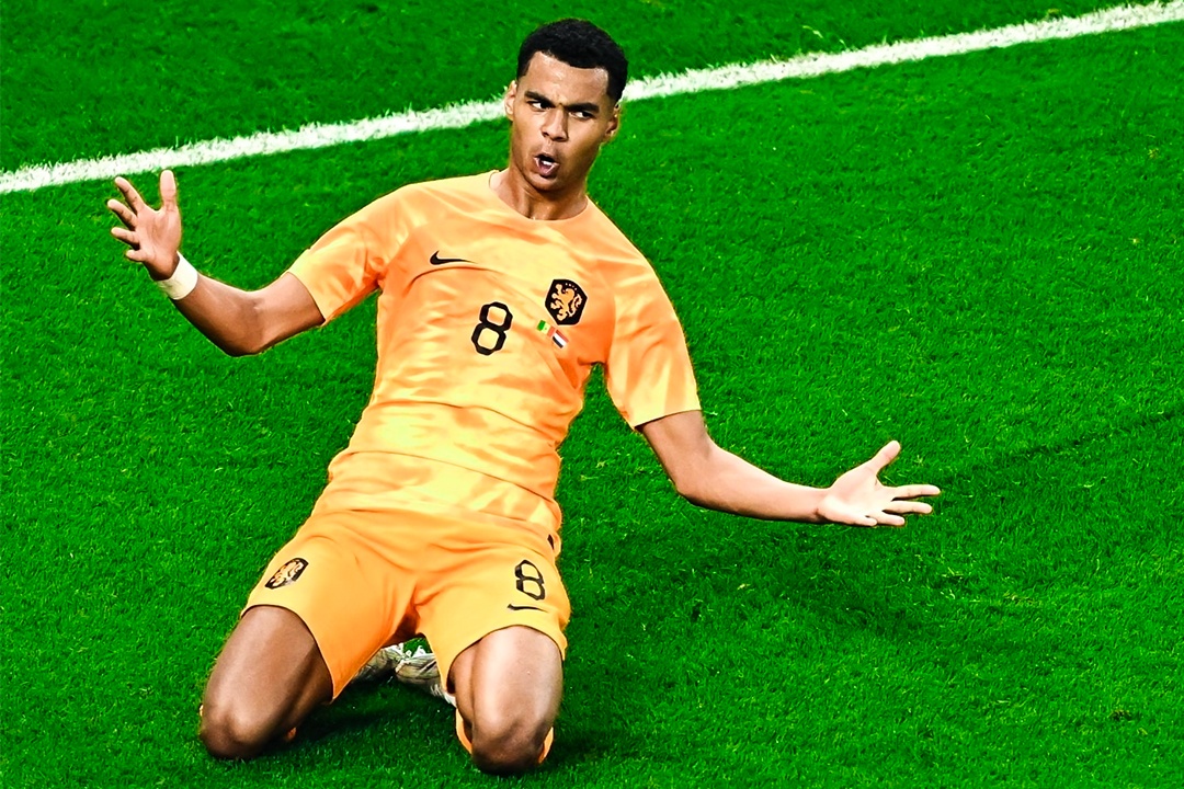 Highlights Senegal 0-2 Ha Lan hinh anh