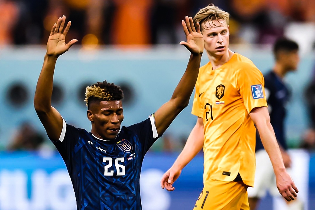 Highlights Ha Lan 1-1 Ecuador hinh anh