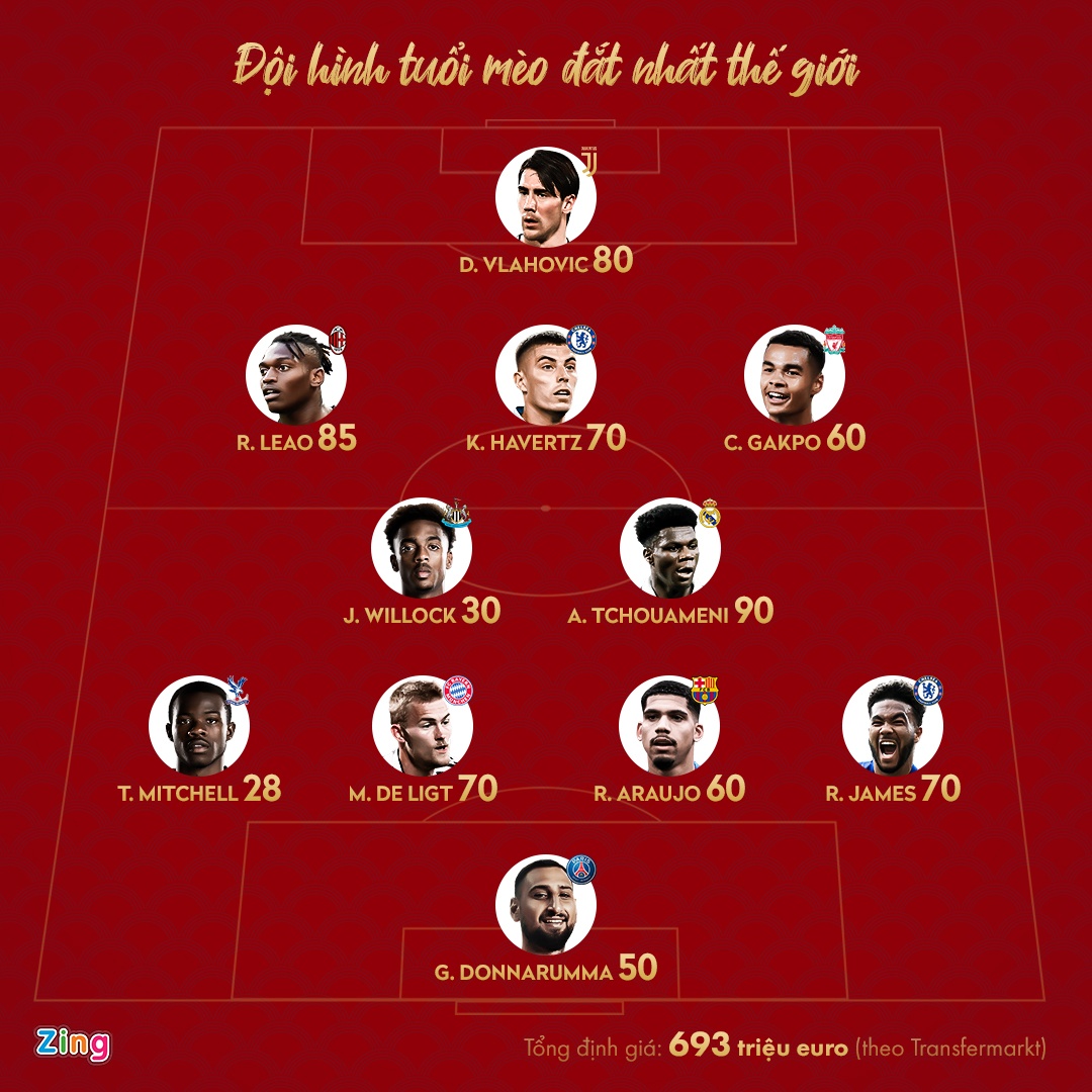 doi hinh tuoi meo anh 1