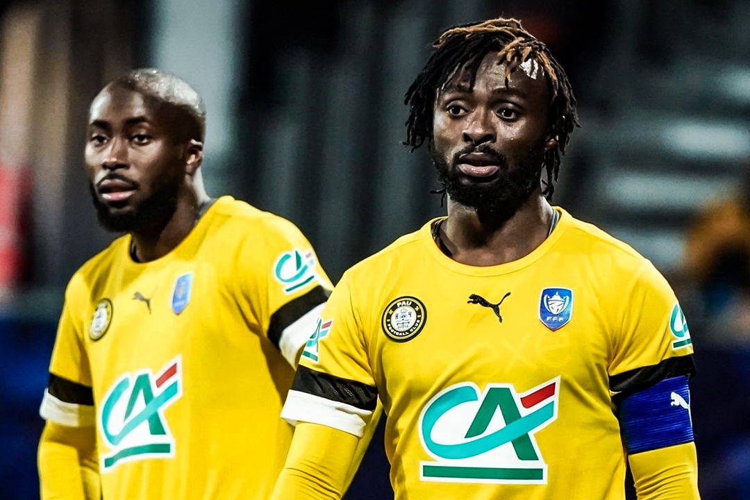 Trung ve Pau da phan luoi nha hinh anh